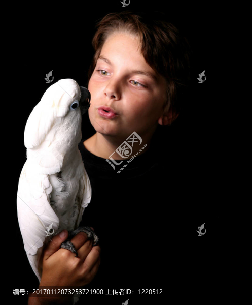 摩鹿加鳳頭鸚鵡與一個(gè)年輕的成年人