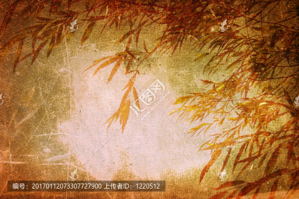 垃圾花的背景