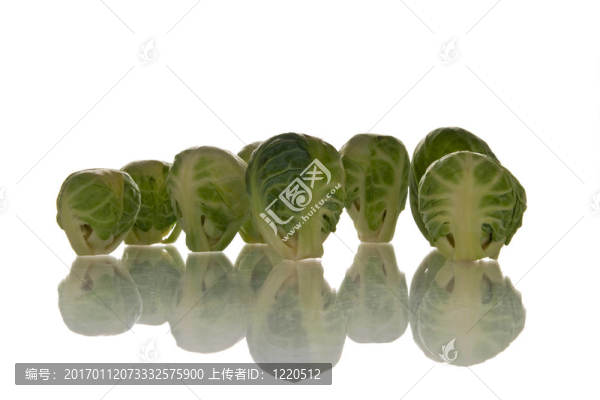 布魯塞爾豆芽