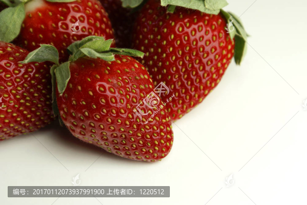 草莓的宏