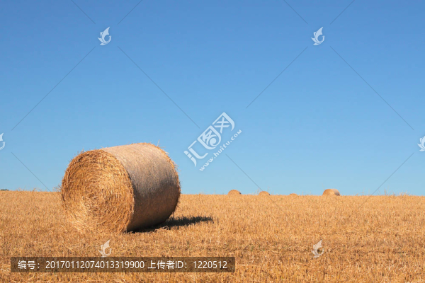 乾草堆