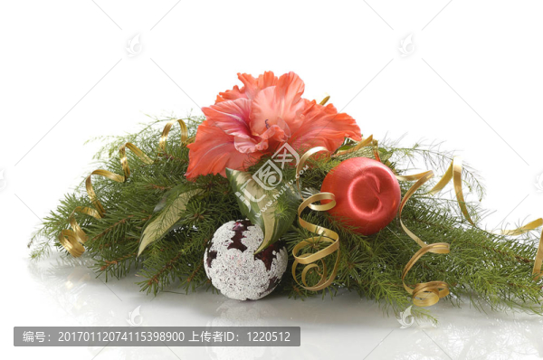 圣誕節(jié)的作文