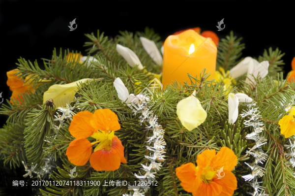 圣誕節(jié)的作文