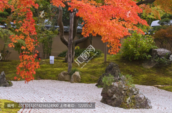 秋天的日本花園