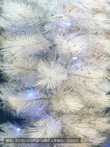 火災(zāi)毛皮樹-匯圖網(wǎng) www.fosd68.com 火災(zāi)毛皮樹