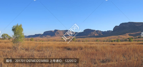 黃薩凡納山；Isalo公園；馬達(dá)加斯加；Panoramique