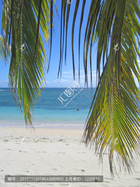 棕櫚葉和從Nattes島碧海；諾西波拉哈；Sainte；瑪麗島；馬達(dá)加斯加