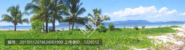 海灘上的草；愛管閑事的iranja；八卦是島；Panoramique；馬達(dá)加斯加