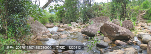在叢林的熱帶河流；安達(dá)帕；馬洛杰基公園；馬達(dá)加斯加；Panoramique