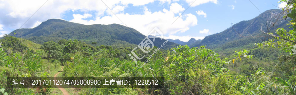 熱帶叢林里有高高的山脈；安達(dá)帕；馬洛杰基公園；馬達(dá)加斯加；Panoramique