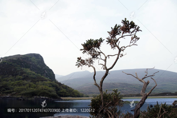 基拉尼湖9