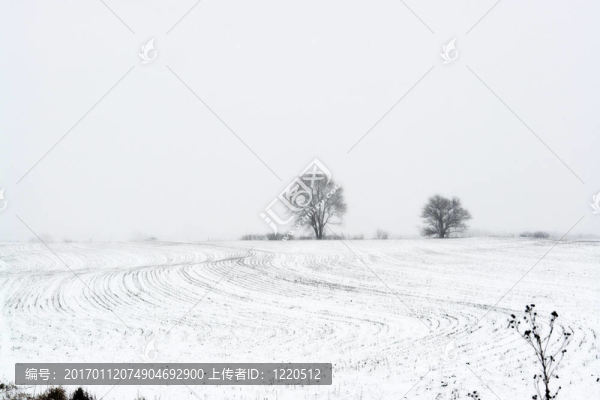 農(nóng)場上的雪