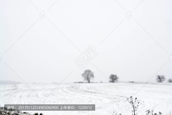 農場上的雪