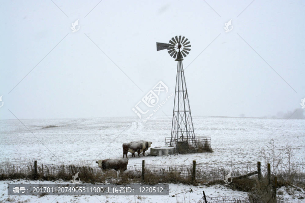農(nóng)場上的雪