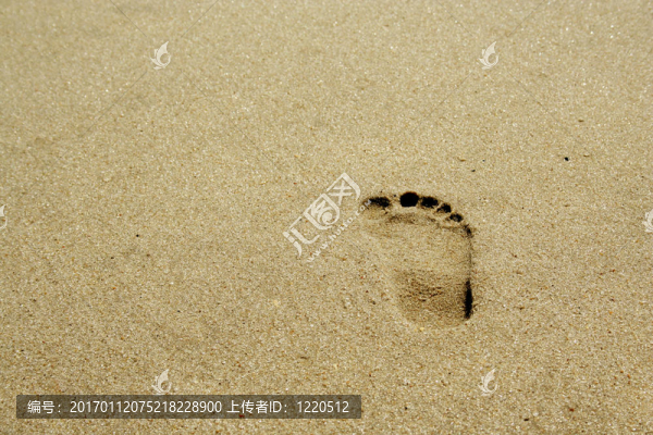 沙灘上的腳印