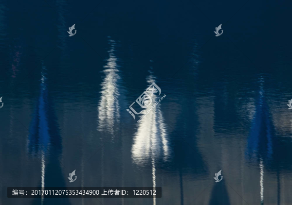 雨傘