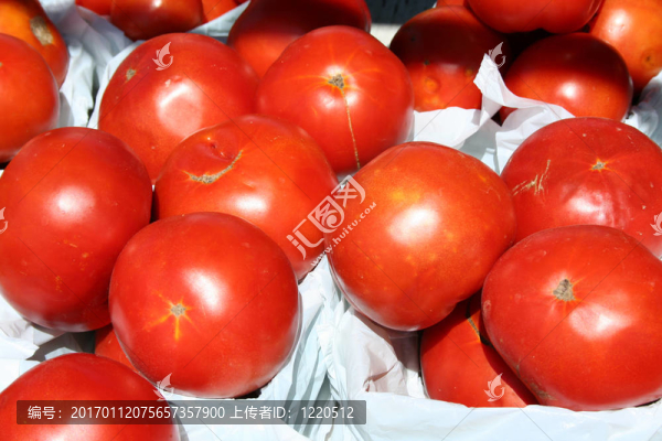 西紅柿