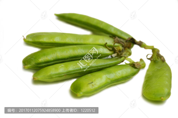 豌豆.靜物