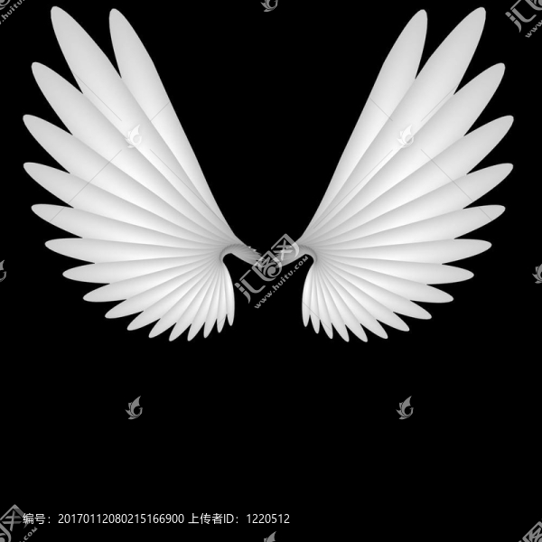 天使的翅膀