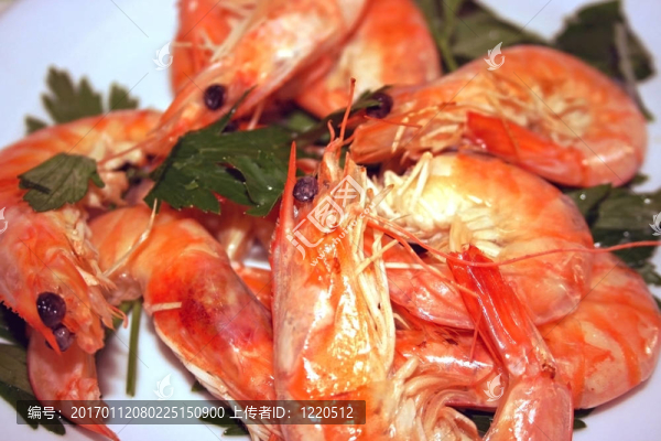蝦仁香菜
