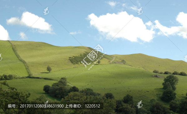 向陽(yáng)的山坡