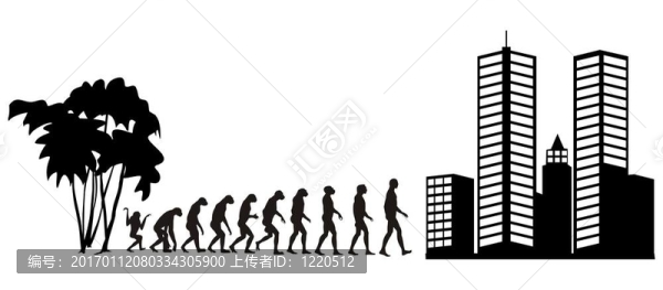 從叢林到城市