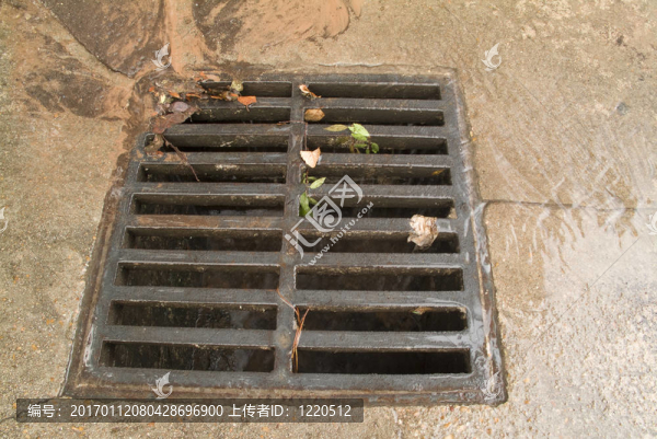 雨漏