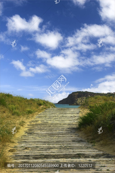通往海灘的小路