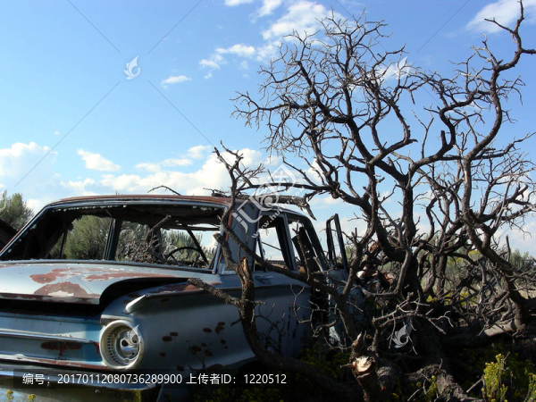 租一個(gè)沉船-匯圖網(wǎng) www.fosd68.com 租一個(gè)沉船