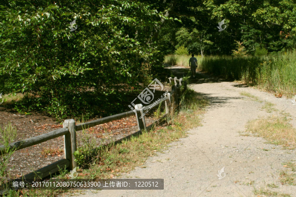 鄉(xiāng)村路