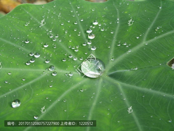 大包圍的小水滴