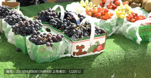 葡萄