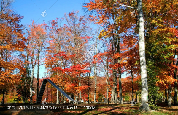 公園的秋天