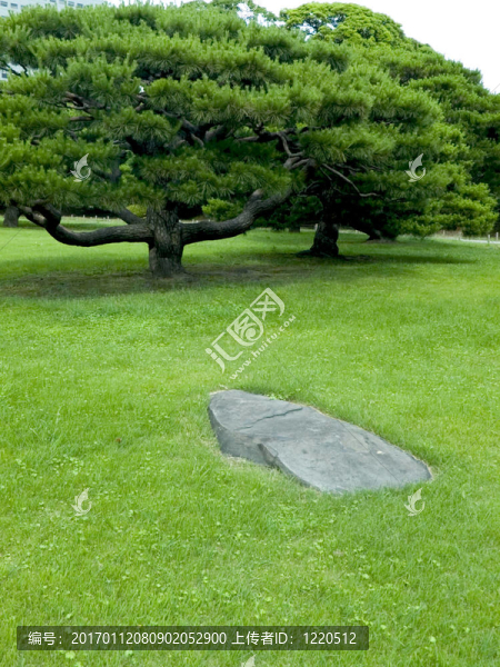 禪園