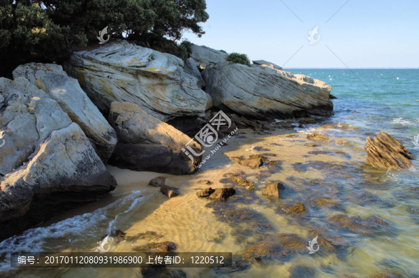 努瓦爾穆捷-匯圖網(wǎng) www.fosd68.com 努瓦爾穆捷