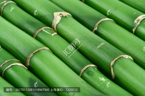 竹的背景3