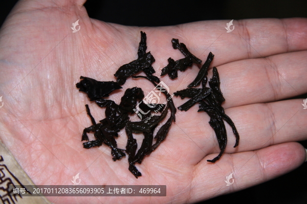 泡過的茶葉