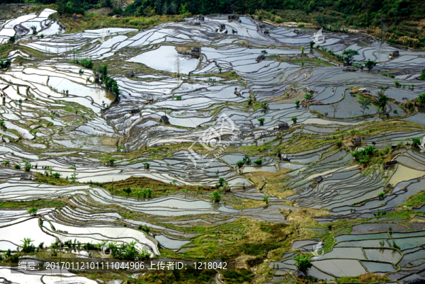 元陽哈尼梯田