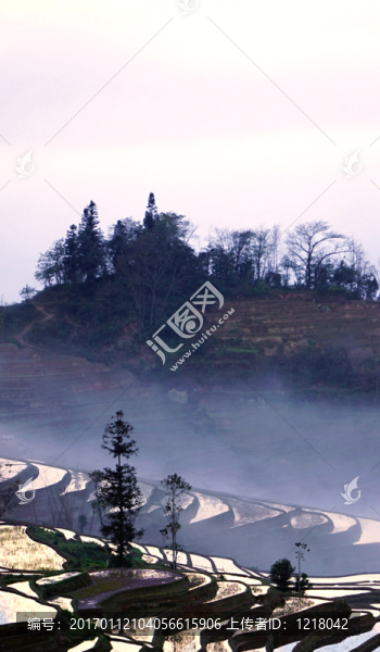 晨霧中的哈尼梯田