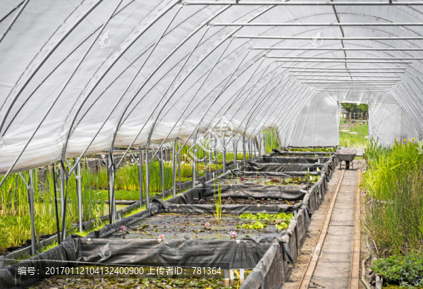 大棚蔬菜-匯圖網(wǎng) www.fosd68.com 大棚蔬菜
