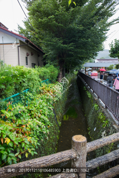忍野八海