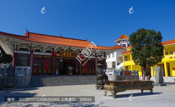 陽西,大垌山