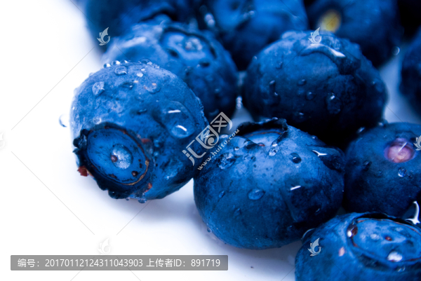 藍莓特寫,藍莓素材,藍莓高清