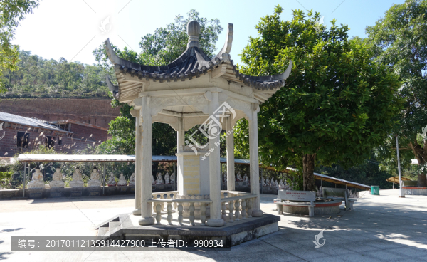陽西,大垌山
