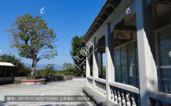 陽西,大垌山