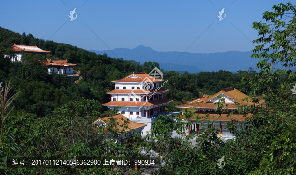 陽西,大垌山