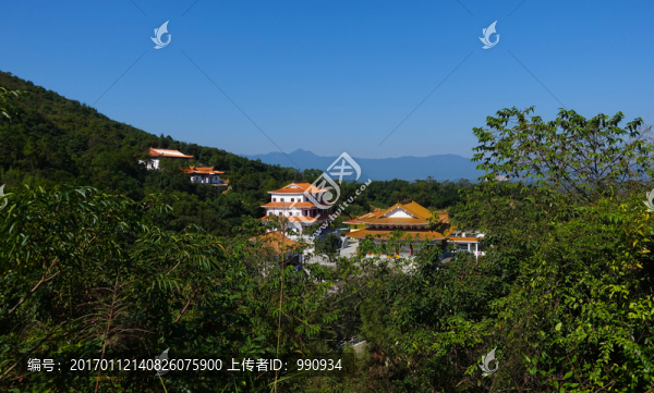 陽西,大垌山