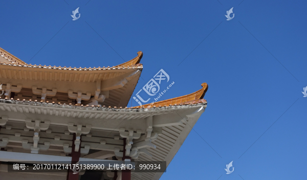 陽西大垌山