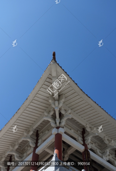 陽(yáng)西大垌山