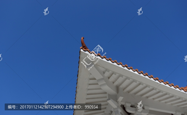 陽(yáng)西大垌山